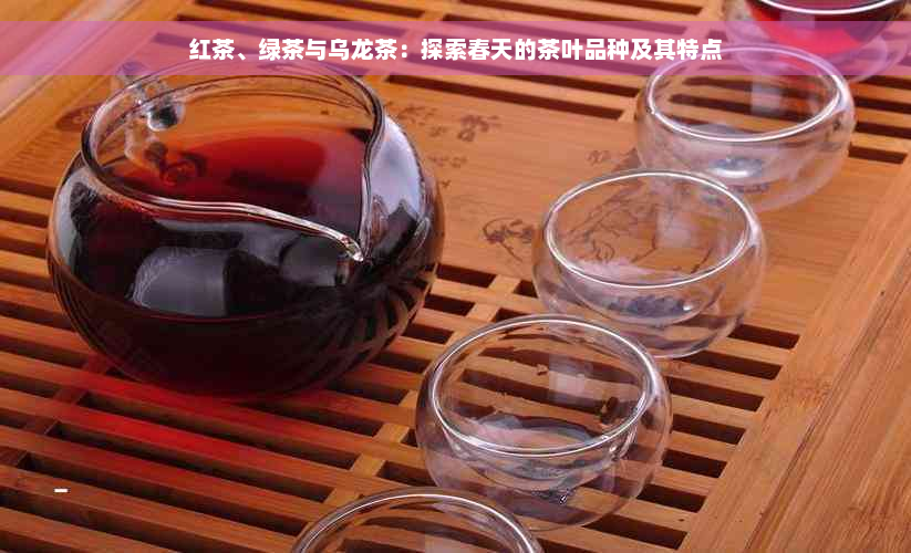 红茶、绿茶与乌龙茶：探索春天的茶叶品种及其特点