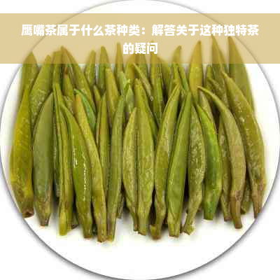 鹰嘴茶属于什么茶种类：解答关于这种独特茶的疑问