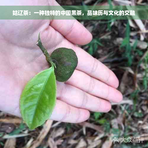 姑辽茶：一种独特的中国黑茶，品味历与文化的交融