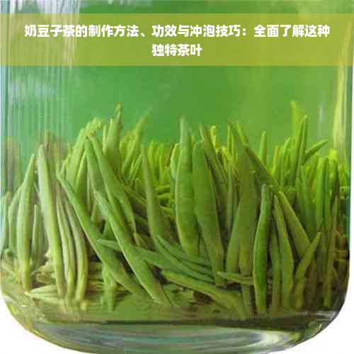 奶豆子茶的制作方法、功效与冲泡技巧：全面了解这种独特茶叶