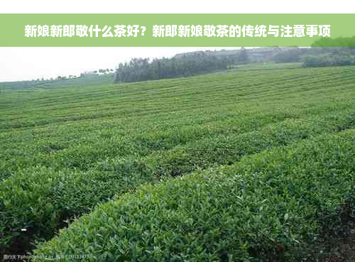 新娘新郎敬什么茶好？新郎新娘敬茶的传统与注意事项