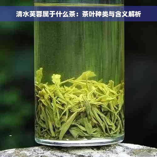 清水芙蓉属于什么茶：茶叶种类与含义解析