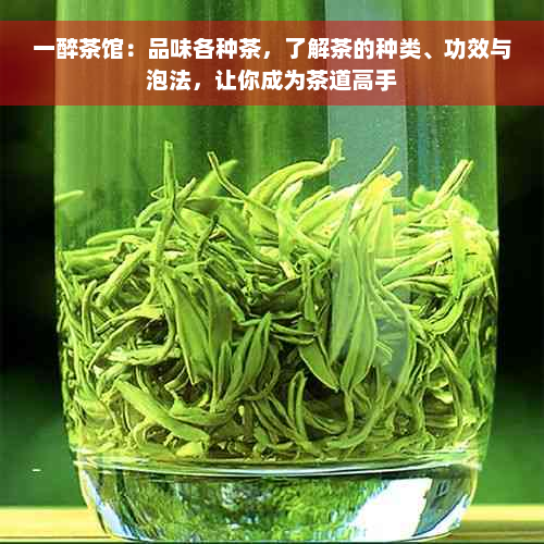 一醉茶馆：品味各种茶，了解茶的种类、功效与泡法，让你成为茶道高手