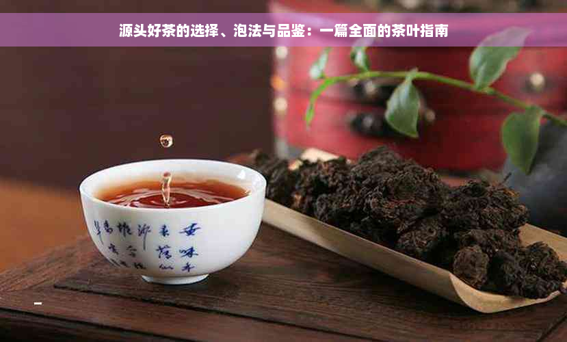 源头好茶的选择、泡法与品鉴：一篇全面的茶叶指南