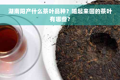 湖南阳产什么茶叶品种？喝起来回的茶叶有哪些？