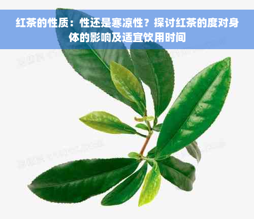 红茶的性质：性还是寒凉性？探讨红茶的度对身体的影响及适宜饮用时间