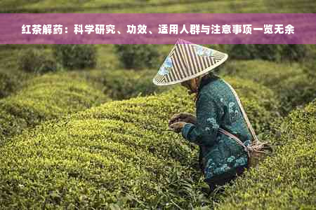 红茶解药：科学研究、功效、适用人群与注意事项一览无余