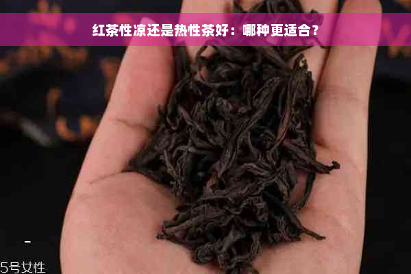 红茶性凉还是热性茶好：哪种更适合？