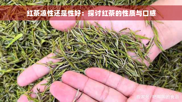 红茶凉性还是性好：探讨红茶的性质与口感