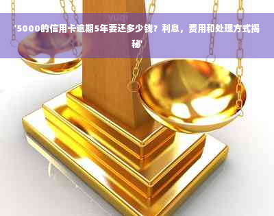 '5000的信用卡逾期5年要还多少钱？利息，费用和处理方式揭秘'