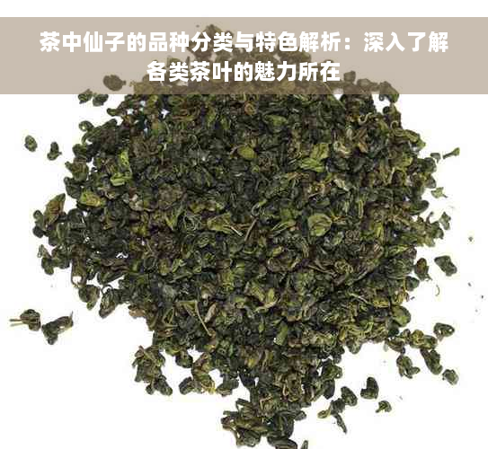 茶中仙子的品种分类与特色解析：深入了解各类茶叶的魅力所在