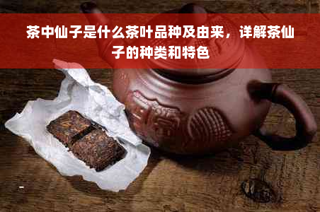 茶中仙子是什么茶叶品种及由来，详解茶仙子的种类和特色