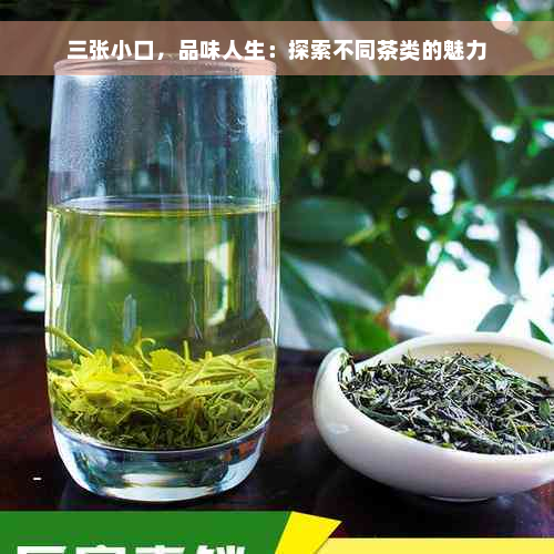 三张小口，品味人生：探索不同茶类的魅力