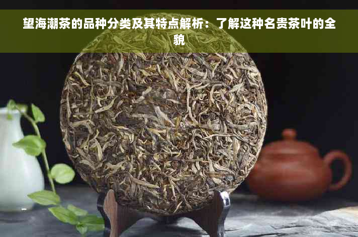 望海潮茶的品种分类及其特点解析：了解这种名贵茶叶的全貌