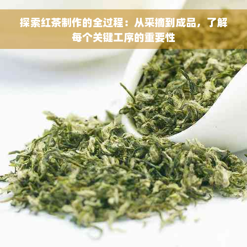 探索红茶制作的全过程：从采摘到成品，了解每个关键工序的重要性