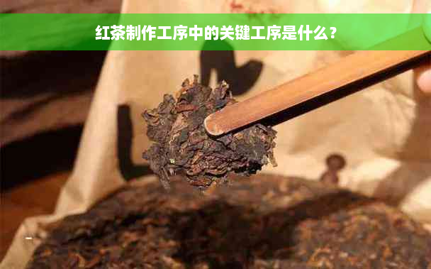 红茶制作工序中的关键工序是什么？