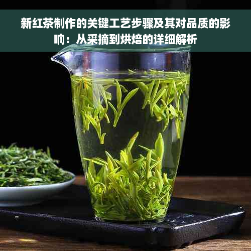 新红茶制作的关键工艺步骤及其对品质的影响：从采摘到烘焙的详细解析