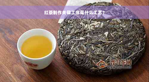 红茶制作关键工序是什么工艺？