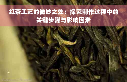 红茶工艺的微妙之处：探究制作过程中的关键步骤与影响因素