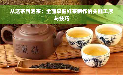 从选茶到泡茶：全面掌握红茶制作的关键工序与技巧