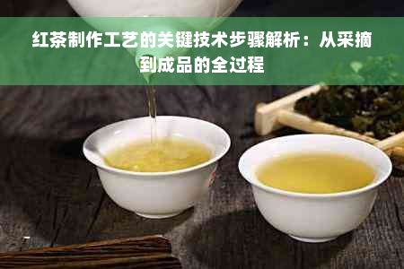 红茶制作工艺的关键技术步骤解析：从采摘到成品的全过程