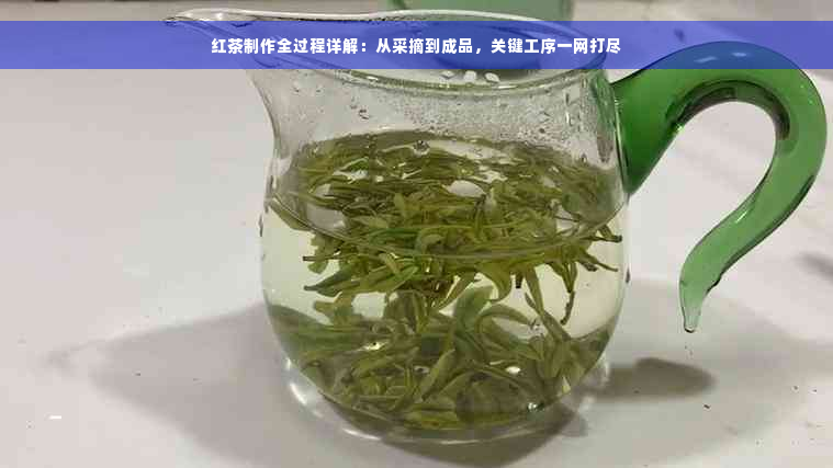 红茶制作全过程详解：从采摘到成品，关键工序一网打尽