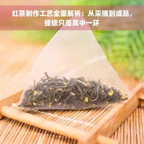 红茶制作工艺全面解析：从采摘到成品，揉捻只是其中一环