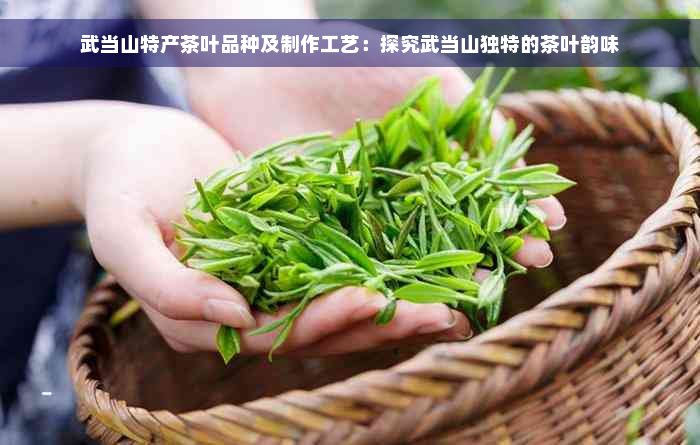 武当山特产茶叶品种及制作工艺：探究武当山独特的茶叶韵味