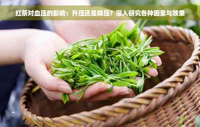 红茶对血压的影响：升压还是降压？深入研究各种因素与效果