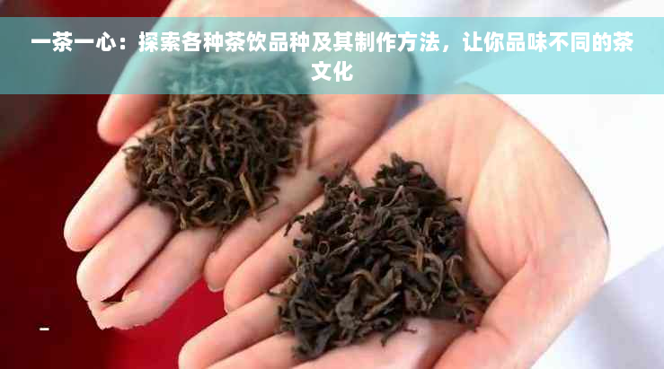 一茶一心：探索各种茶饮品种及其制作方法，让你品味不同的茶文化