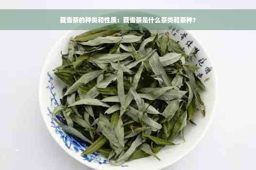 藏雪茶的种类和性质：藏雪茶是什么茶类和茶种？