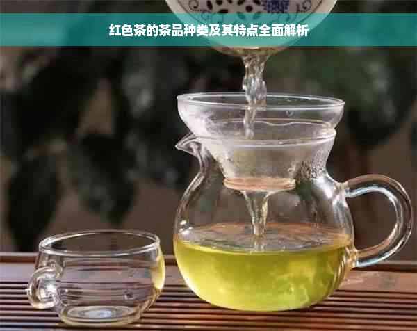 红色茶的茶品种类及其特点全面解析