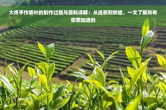 大师手作茶叶的制作过程与原料详解：从选茶到烘焙，一文了解所有你想知道的