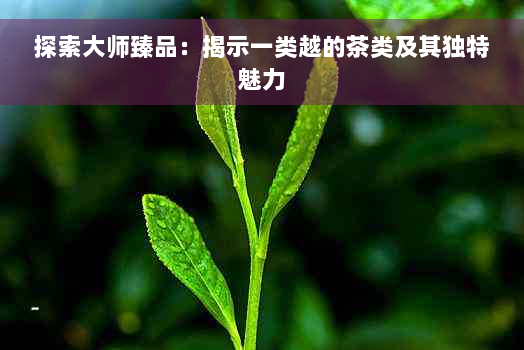 探索大师臻品：揭示一类越的茶类及其独特魅力