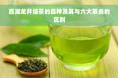 西湖龙井绿茶的品种及其与六大茶类的区别