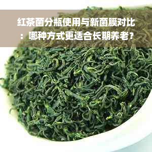 红茶菌分瓶使用与新菌膜对比：哪种方式更适合长期养老？