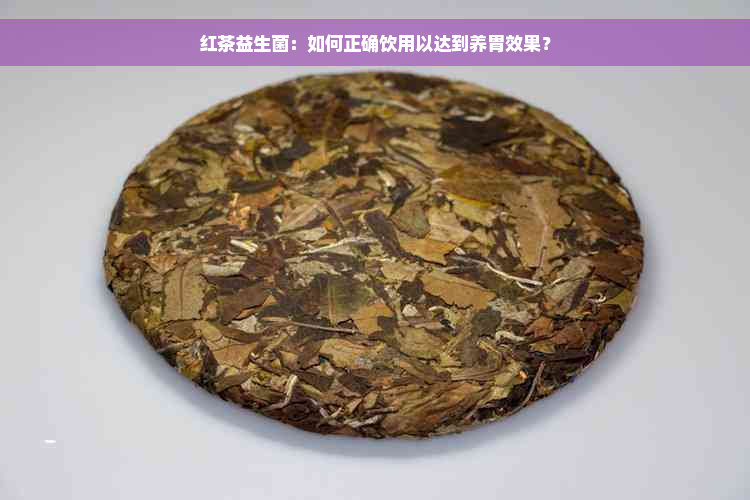 红茶益生菌：如何正确饮用以达到养胃效果？