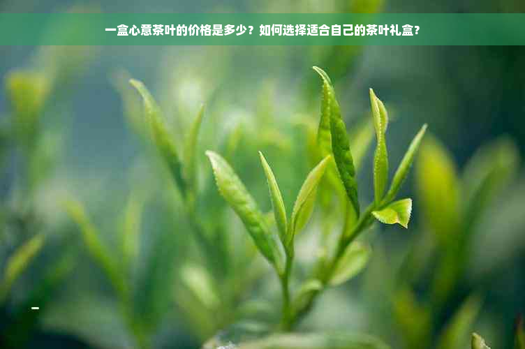 一盒心意茶叶的价格是多少？如何选择适合自己的茶叶礼盒？