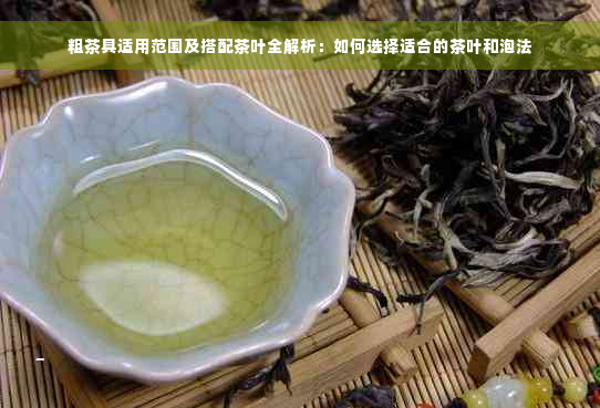 粗茶具适用范围及搭配茶叶全解析：如何选择适合的茶叶和泡法