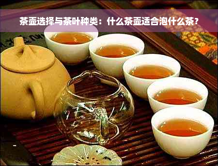 茶壶选择与茶叶种类：什么茶壶适合泡什么茶？