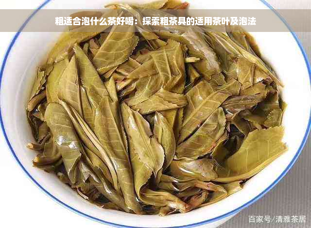 粗适合泡什么茶好喝：探索粗茶具的适用茶叶及泡法