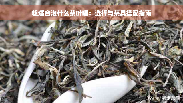 粗适合泡什么茶叶喝：选择与茶具搭配指南