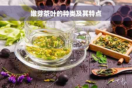 嫩芽茶叶的种类及其特点