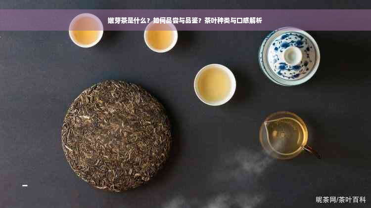 嫩芽茶是什么？如何品尝与品鉴？茶叶种类与口感解析