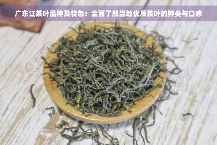 广东江茶叶品种及特色：全面了解当地优质茶叶的种类与口感