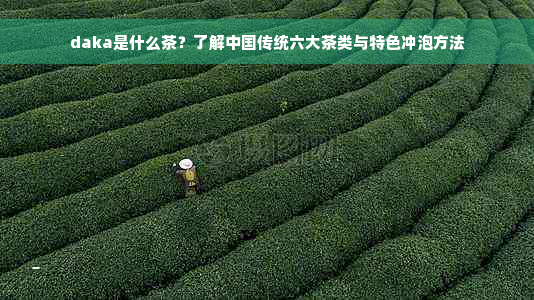 daka是什么茶？了解中国传统六大茶类与特色冲泡方法