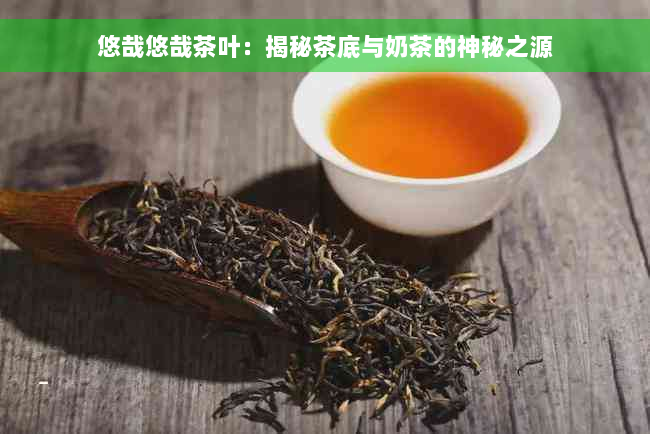 悠哉悠哉茶叶：揭秘茶底与奶茶的神秘之源