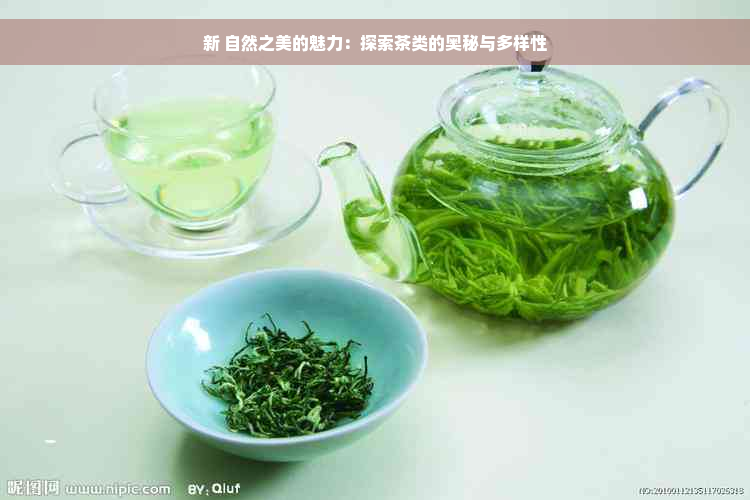 新 自然之美的魅力：探索茶类的奥秘与多样性