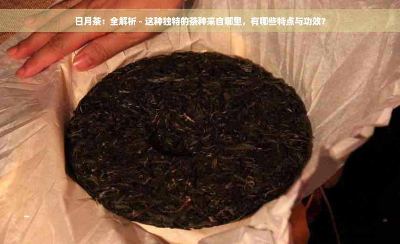 日月茶：全解析 - 这种独特的茶种来自哪里，有哪些特点与功效？