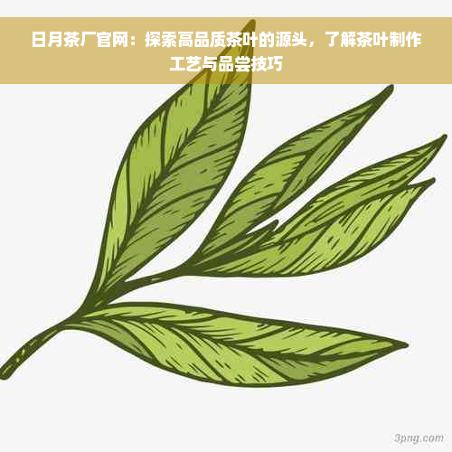 日月茶厂官网：探索高品质茶叶的源头，了解茶叶制作工艺与品尝技巧